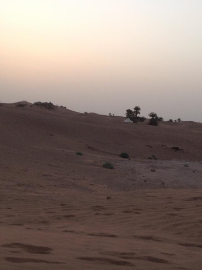 Randonnee chameliere dunes de Erg Chigaga 5 jours . : randonnee dunes de chigaga, excursion dromadaire chegaga, excursion dromadaire erg chegaga, excursion dromadaire les dunes de chegaga