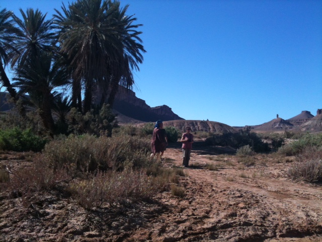 desert oasis