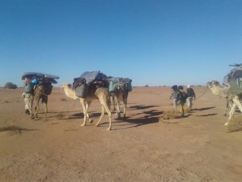 Camel tour in chegaga dunes : chegaga dune, excursion chegaga dunes, erg chegaga camel tours, tour in erg chegaga, camel tour in erg chegaga, camel trip in erg chegaga